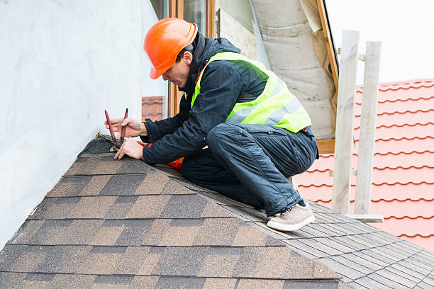 Best Storm Damage Roof Repair  in La Feria, TX