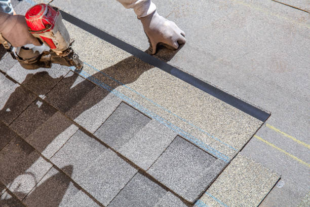 Best Emergency Roof Repair  in La Feria, TX